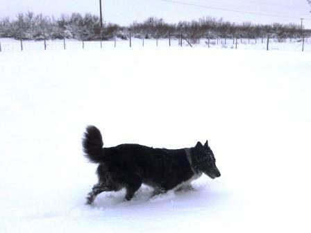 The Great Snow of 2013-07