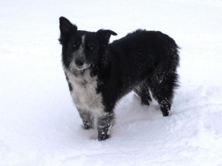 The Great Snow of 2013-08